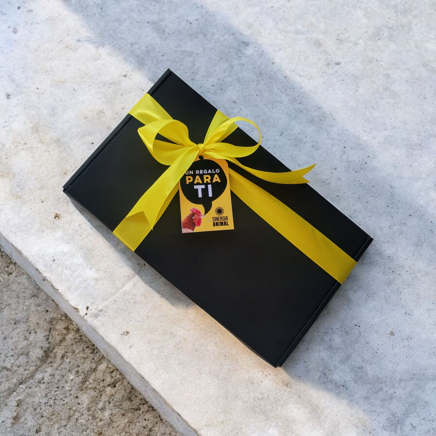 Caja Vegana con Libreta Personalizada
