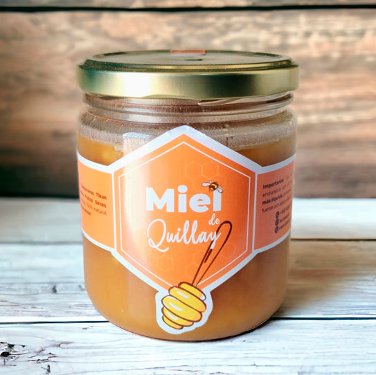 Miel de Quillay 100% Pura Rescatada 500 gr