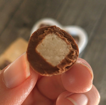 Coco Bañado en Chocolate de Leche