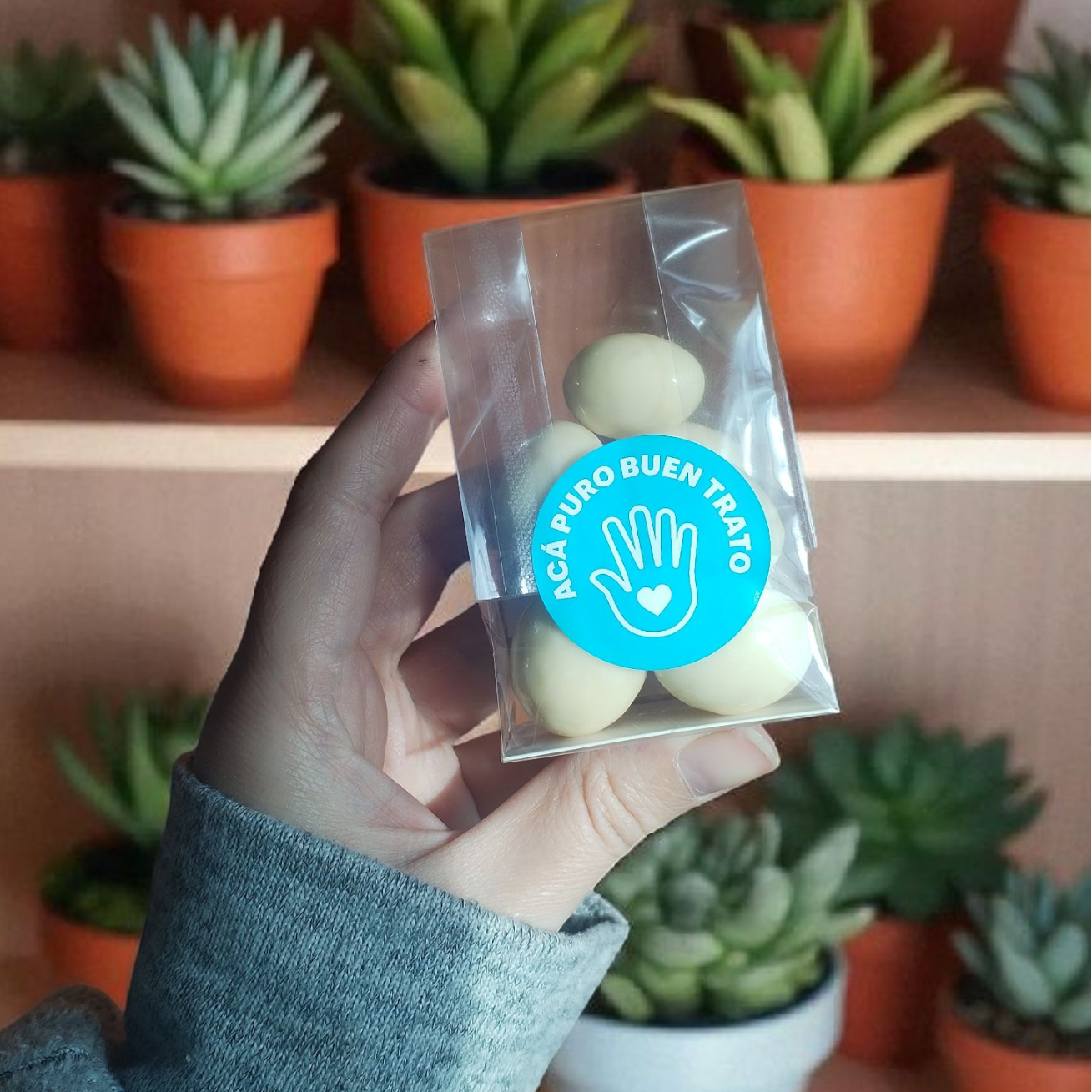 Sachet de Frutos Secos Personalizado 40gr - Recuerdo para Invitados Matrimonio y Fiestas