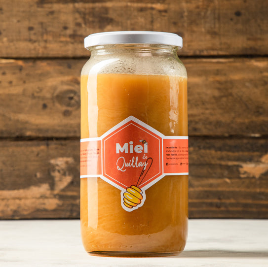 Miel de Quillay 100% Pura