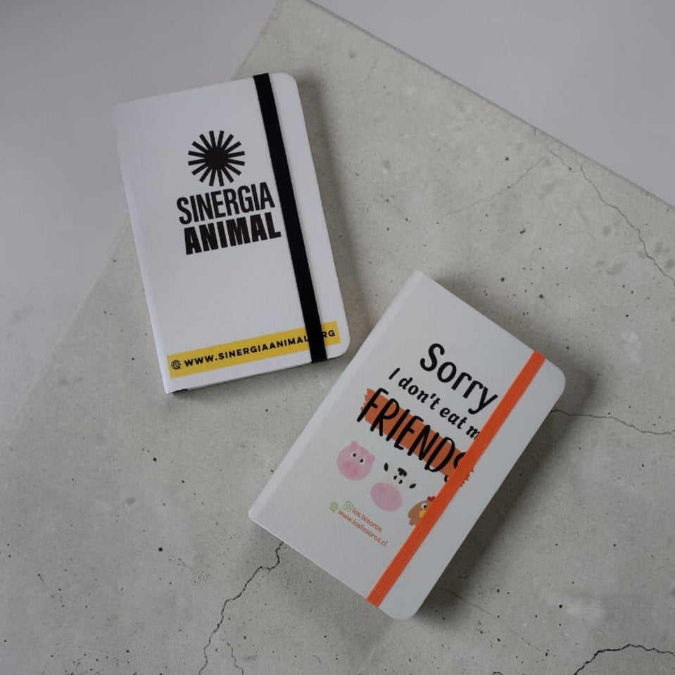 🎁 Box Libreta & Snacks Premium | Día del Trabajador