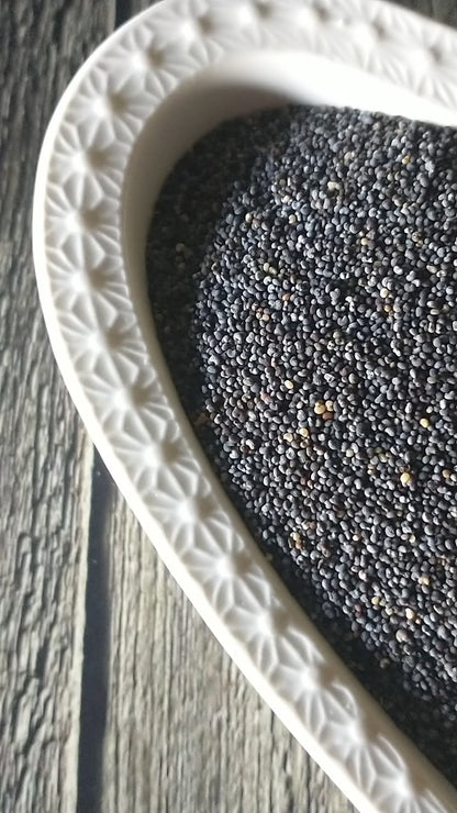 Semillas de Chía – Superalimento Natural y Energético